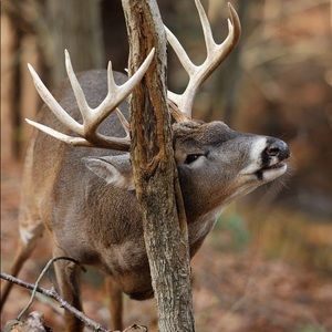 Meet your Posher, Jeff